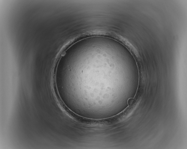 X0000114610625200910201153