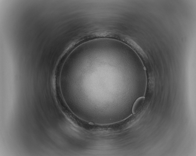 X0000114610626200910201153