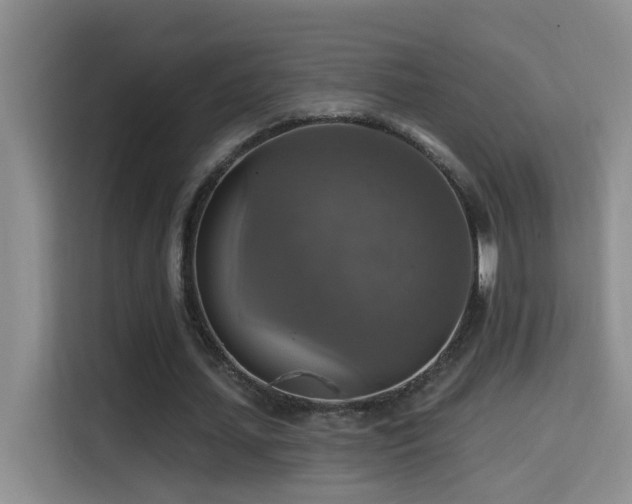 X0000114610627200910201153