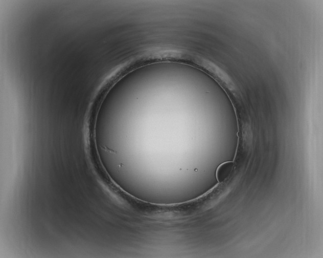 X0000114610629200910201153