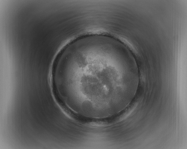 X0000114610630200910201153