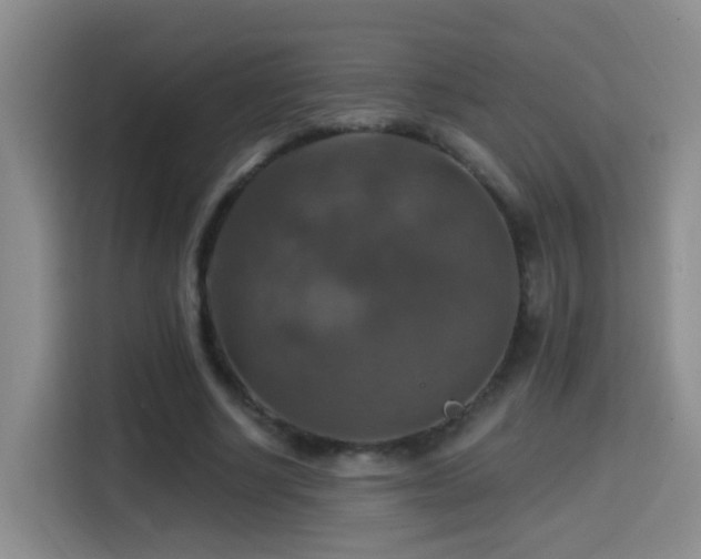 X0000114610634200910201153