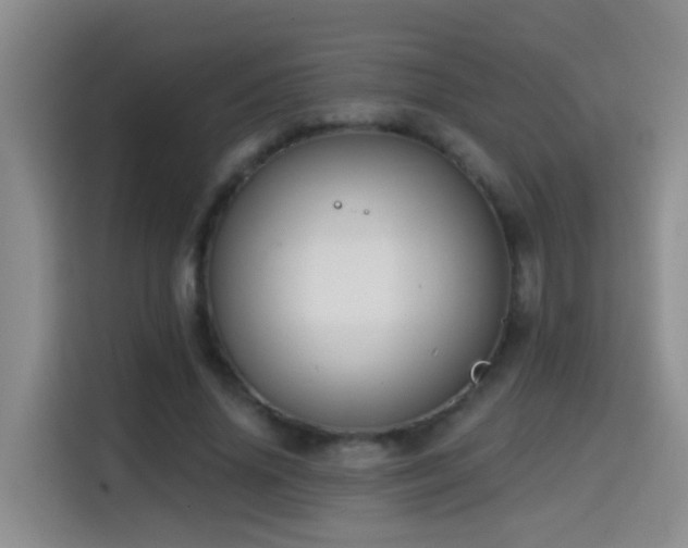 X0000114610636200910201153