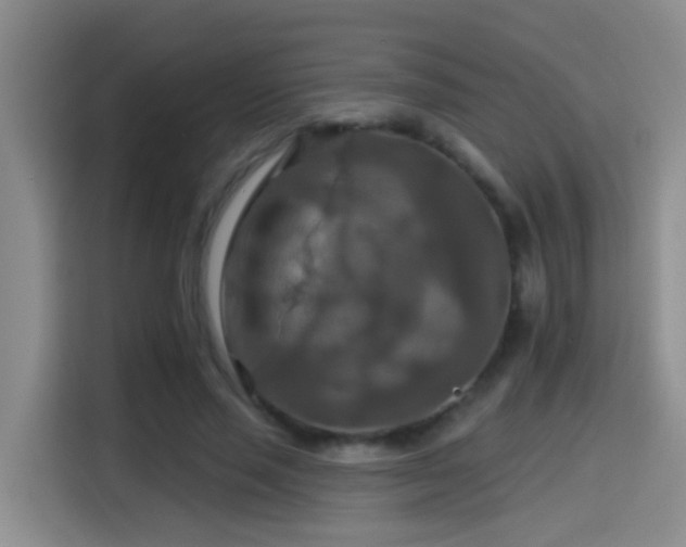 X0000114610637200910201153