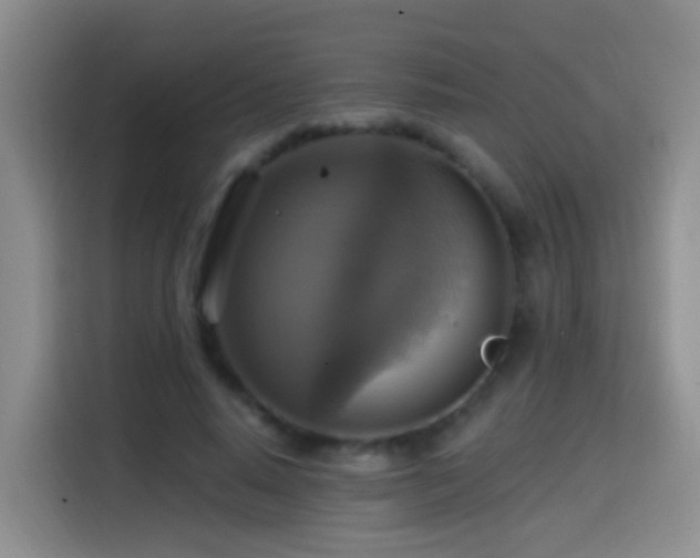 X0000114610640200910201153