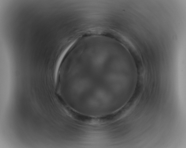 X0000114610641200910201153