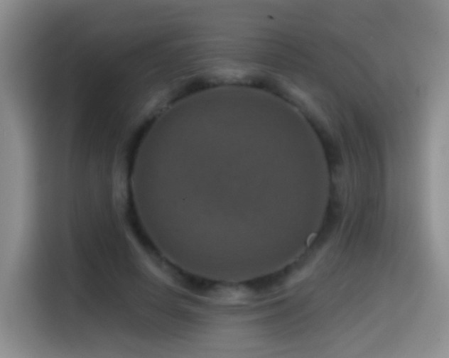 X0000114610642200910201153