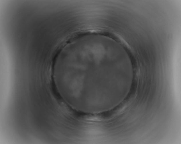 X0000114610643200910201153