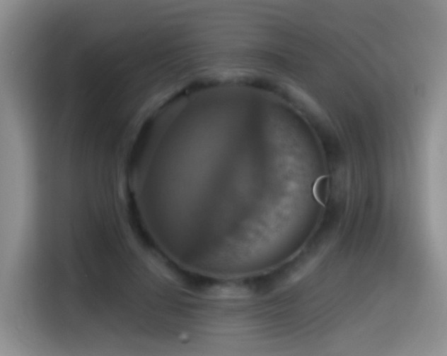 X0000114610644200910201153