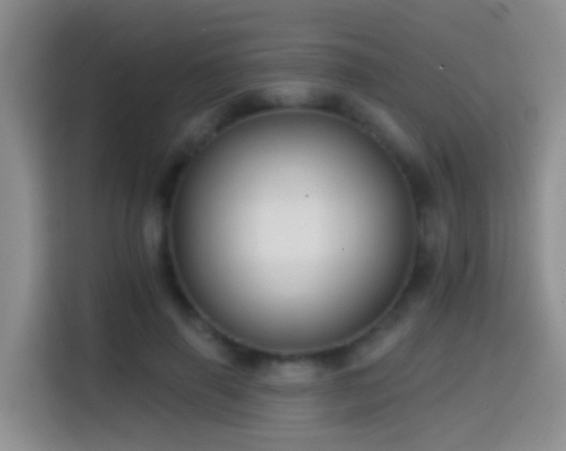 X0000114610645200910201153