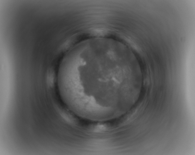 X0000114610647200910201153