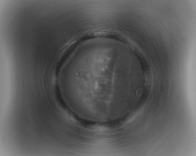 X0000114610648200910201153