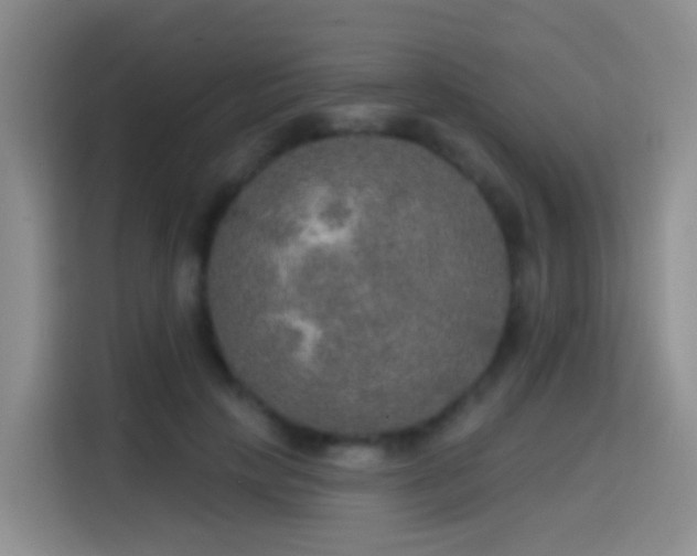 X0000114610649200910201153