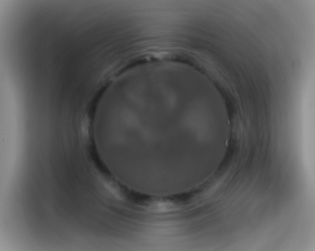 X0000114610650200910201153