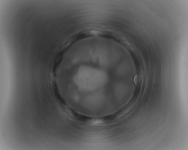 X0000114610651200910201153