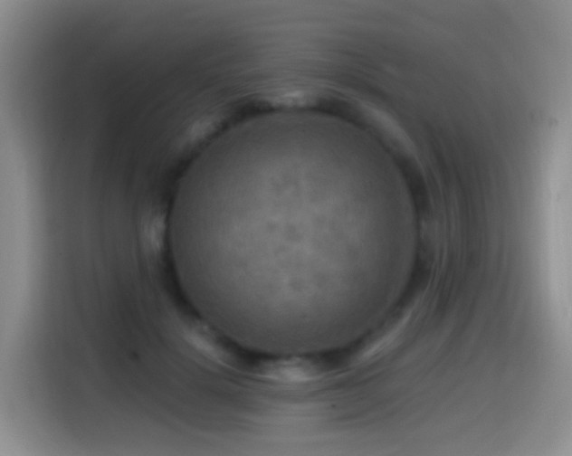 X0000114610652200910201153