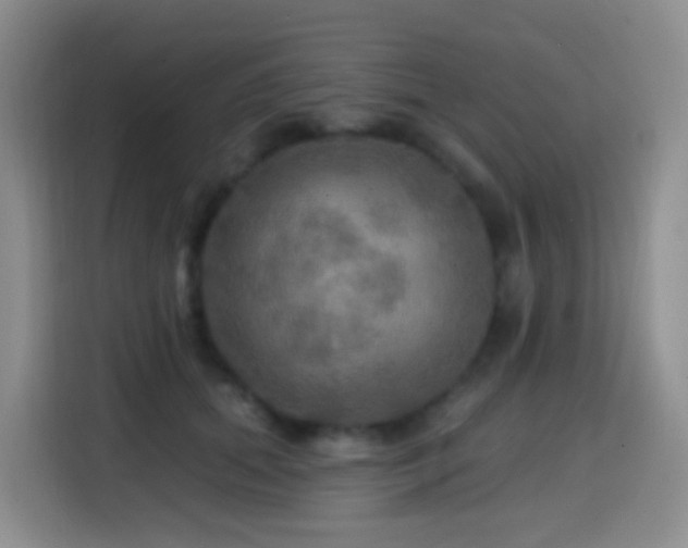 X0000114610655200910201153