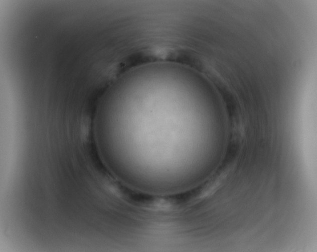 X0000114610656200910201153