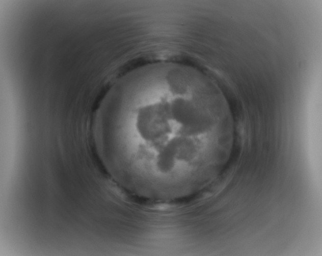 X0000114610657200910201153