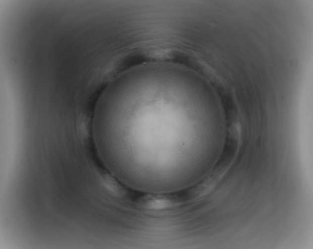 X0000114610658200910201153