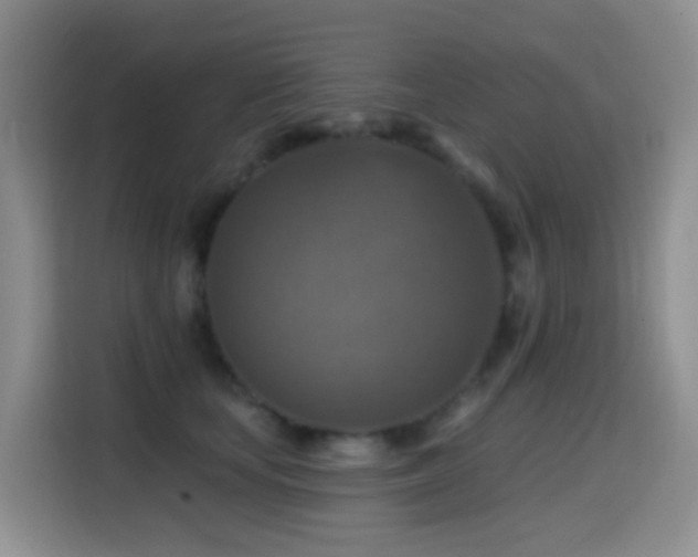 X0000114610659200910201153