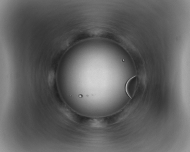 X0000114610660200910201153