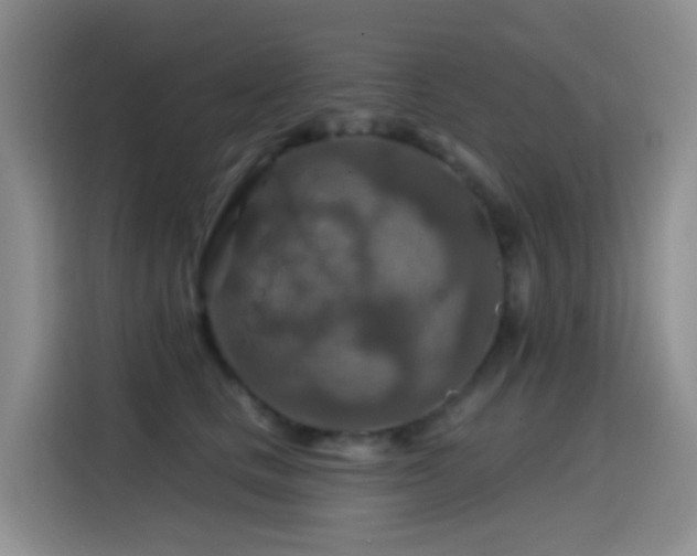 X0000114610661200910201153