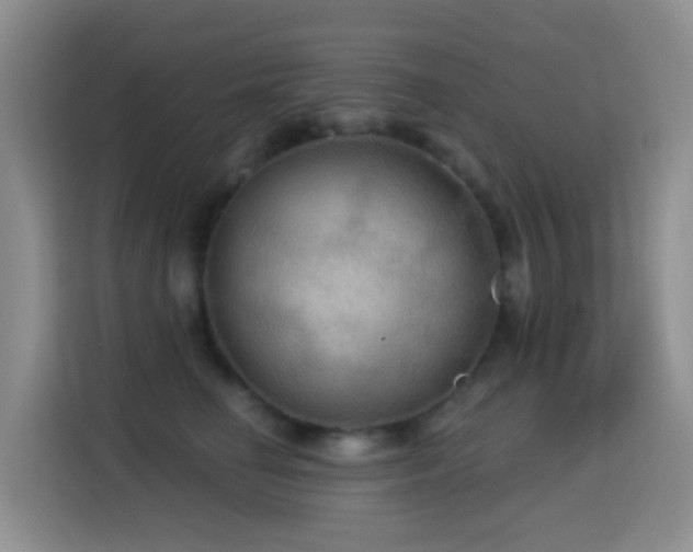 X0000114610662200910201153