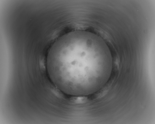 X0000114610663200910201153