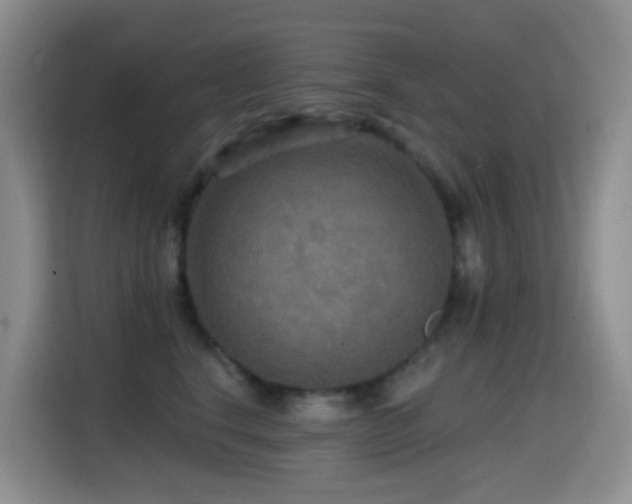 X0000114610664200910201153