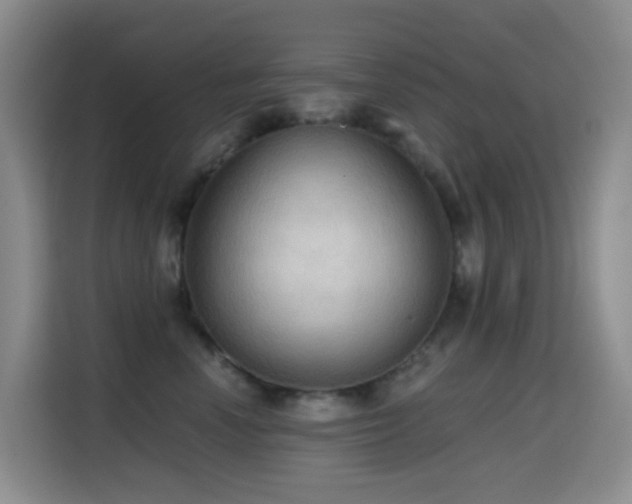 X0000114610666200910201153