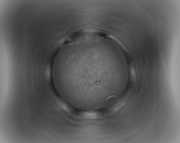 X0000114610668200910201153