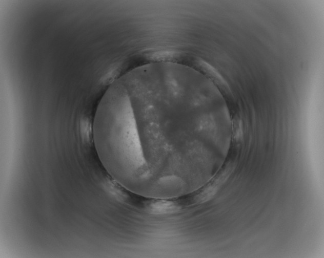 X0000114610669200910201154