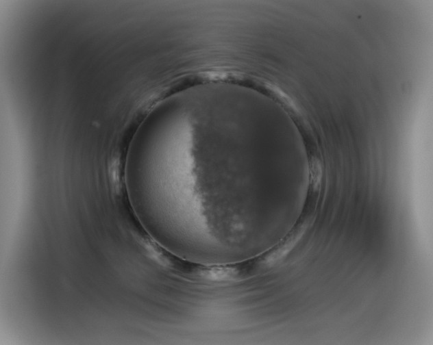 X0000114610670200910201154