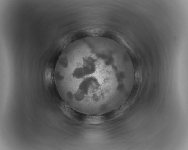 X0000114610671200910201154