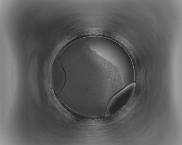 X0000114610673200910201153