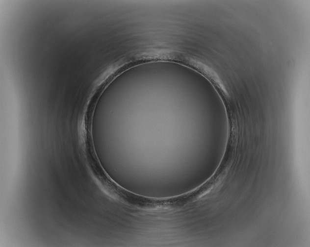 X0000114610674200910201153