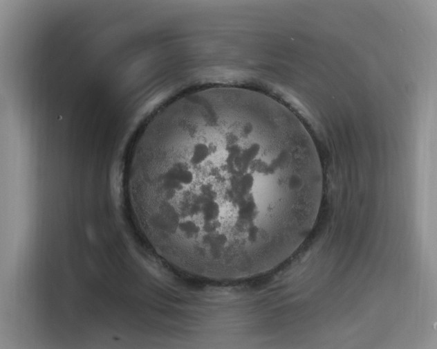 X0000114610679200910201153