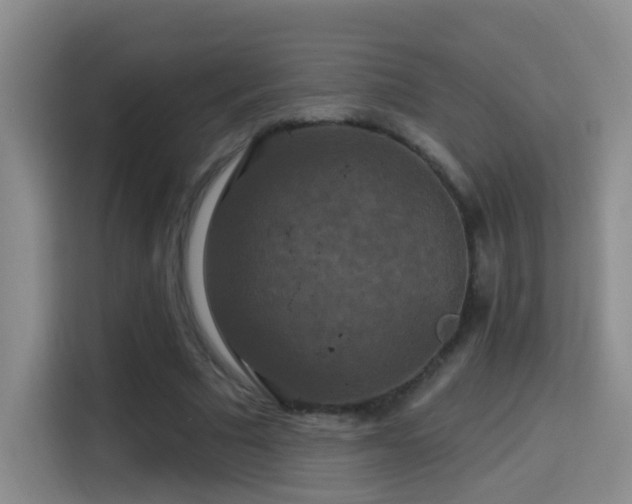 X0000114610681200910201153