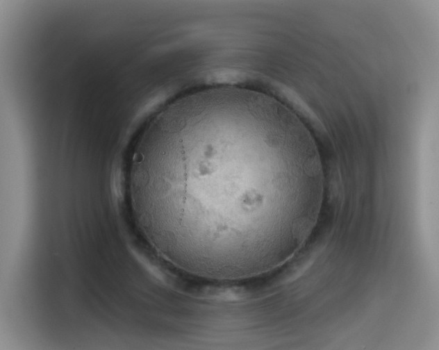 X0000114610683200910201153