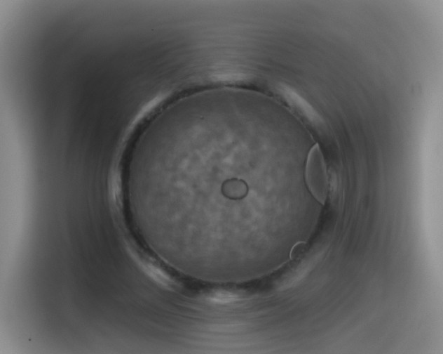 X0000114610684200910201153