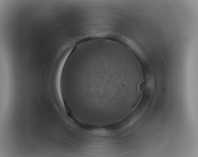 X0000114610685200910201153