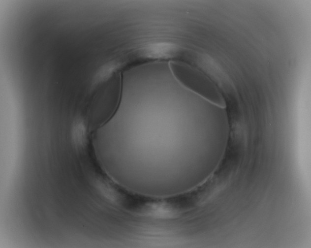 X0000114610688200910201153