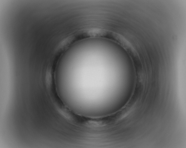 X0000114610690200910201153