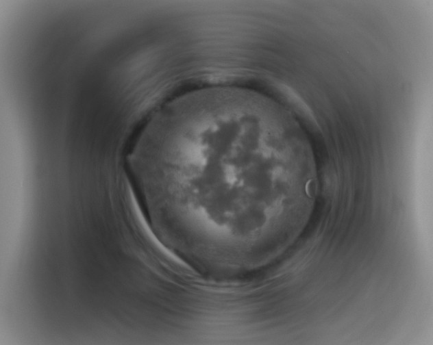 X0000114610691200910201153