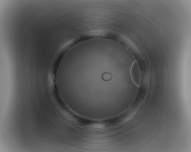 X0000114610692200910201153