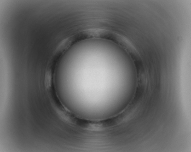 X0000114610694200910201153