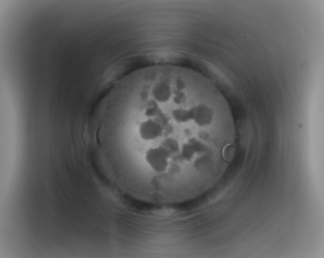 X0000114610695200910201153