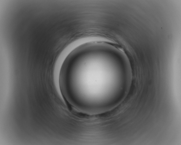 X0000114610696200910201153