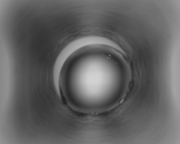 X0000114610697200910201153